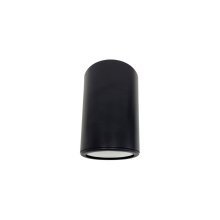 Avista Lighting Inc A1101RC-BK - Avista Cylinder Outdoor Celing Fixture Black -Round