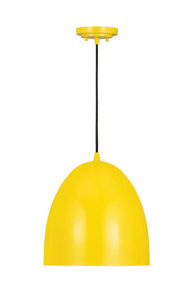 1 Light Pendant