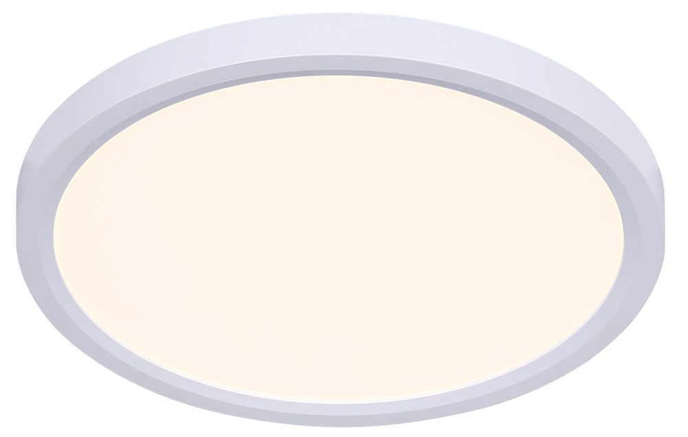 11.81 Inch LED Flush Mount