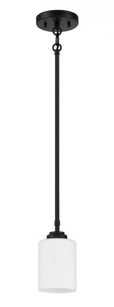 1 Light Mini Pendant