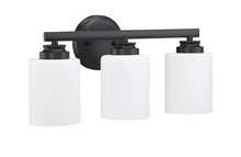 Craftmade 50503-FB-WG - 3 Light Vanity