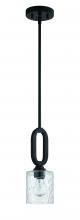 Craftmade 54291-FB - 1 Light Mini Pendant