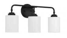 Craftmade 56003-FB - 3 Light Vanity