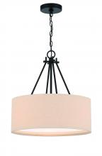 Craftmade 56593-FB - 3 Light Pendant