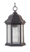 Craftmade Z291-TB-CS - Hex Style Cast 1 Light Outdoor Pendant in Textured Black (Clear Seeded Glass)
